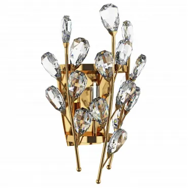 Бра Lightstar Isabelle 791612 Цвет арматуры золото Цвет плафонов прозрачный