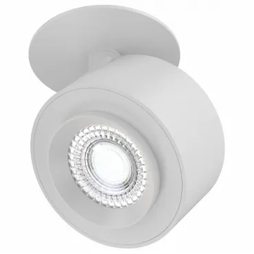 Светильник на штанге Maytoni Treo C063CL-L12W4K Цвет арматуры белый Цвет плафонов белый