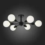 Потолочная люстра EVOLUCE Ano SL419.402.06 