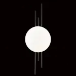 Накладной светильник Indigo Astro 14007/1W Black от ImperiumLoft