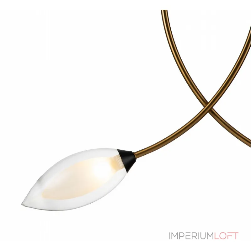 Подвесной светильник Indigo Fiore 13001/2P Black от ImperiumLoft