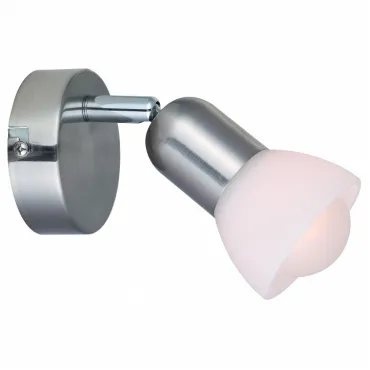 Спот Arte Lamp Falena A3115AP-1SS Цвет арматуры серебро Цвет плафонов белый Спот Arte Lamp Falena A3115AP-1SS Цвет арматуры серебро Цвет плафонов белый