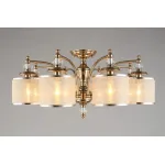Потолочная люстра Aployt Agata APL.720.07.08 