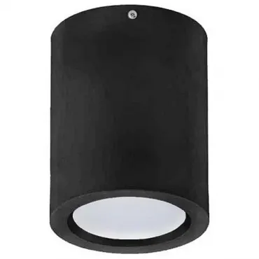 Накладной светильник Horoz Electric Sandra HRZ11100019 цвет арматуры черный цвет плафонов черный