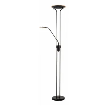 Торшер с подсветкой Lucide Champion ac LED 19792/24/30