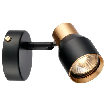 Настенно-потолочный светильник VELANTE 473-401-01