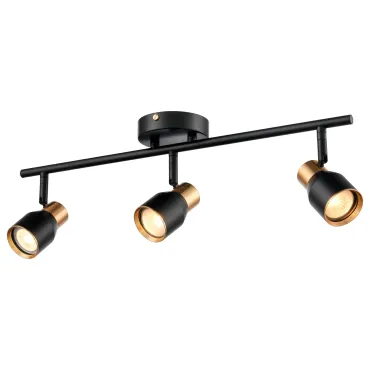 Настенно-потолочный светильник VELANTE 473-401-03