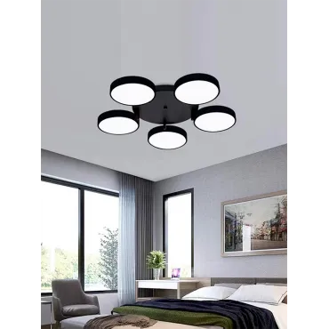 Потолочный светильник VER-1977-5