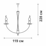 Подвесная люстра VitaLuce V3295-7/20+10