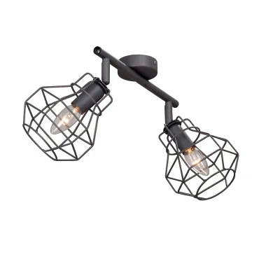 Потолочный светильник VitaLuce V4883-2/2PL