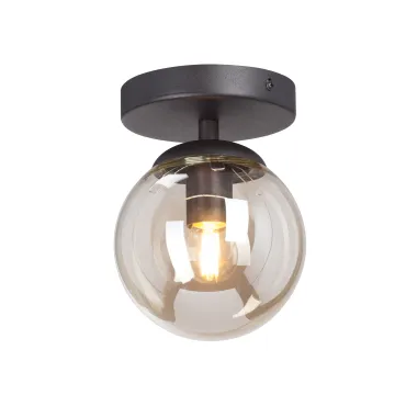 Потолочный светильник VitaLuce V3962-1/1PL