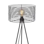 Торшер VitaLuce V3099-1/1P