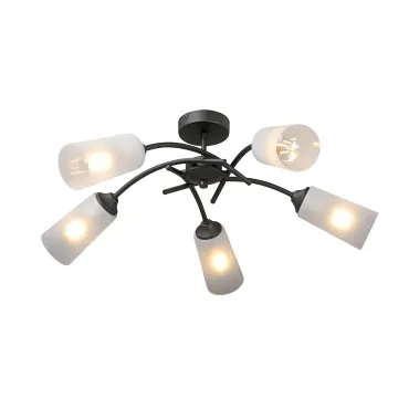 Потолочный светильник VitaLuce V2850-1/5PL Потолочный светильник VitaLuce V2850-1/5PL