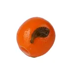 Плафон VitaLuce VL0071P