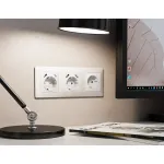 Лицевая панель для электрической розетки с заземлением со шторками 2USB A+A Ambrella Volt ALFA AP1090