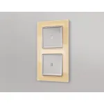 Лицевая панель ALFA (Сталь матовый) для 1-клавишных выключателей с подсветкой QUANT AP5020 от ImperiumLoft