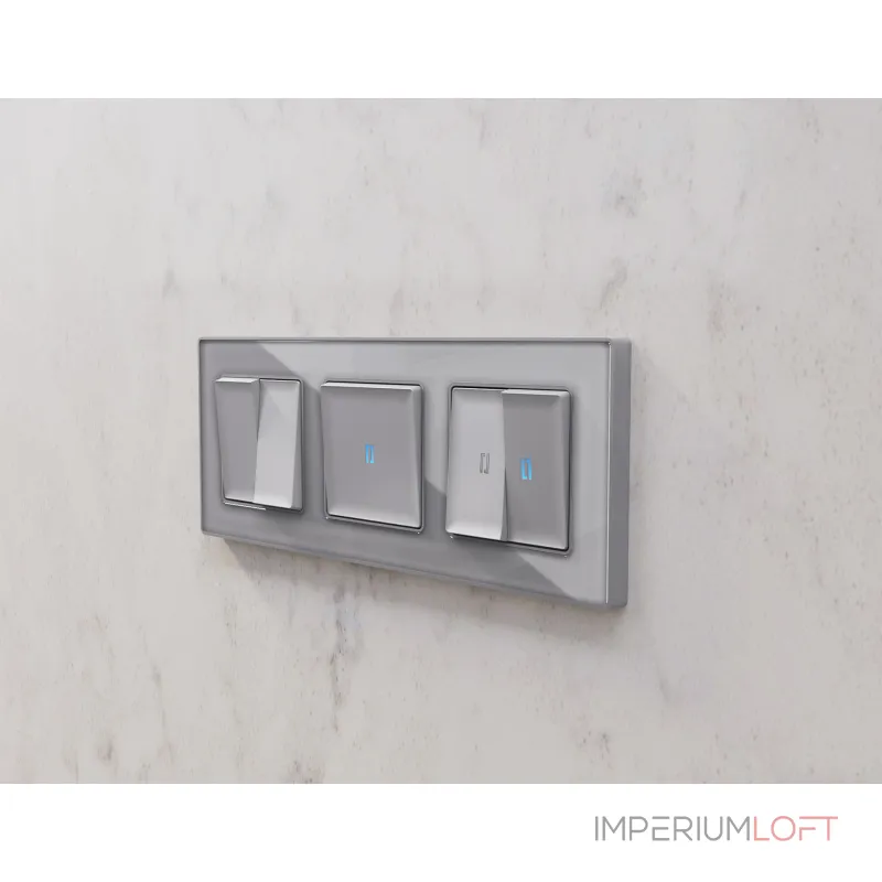 Лицевая панель ALFA (Сталь матовый) для 1-клавишных выключателей с подсветкой QUANT AP5020 от ImperiumLoft