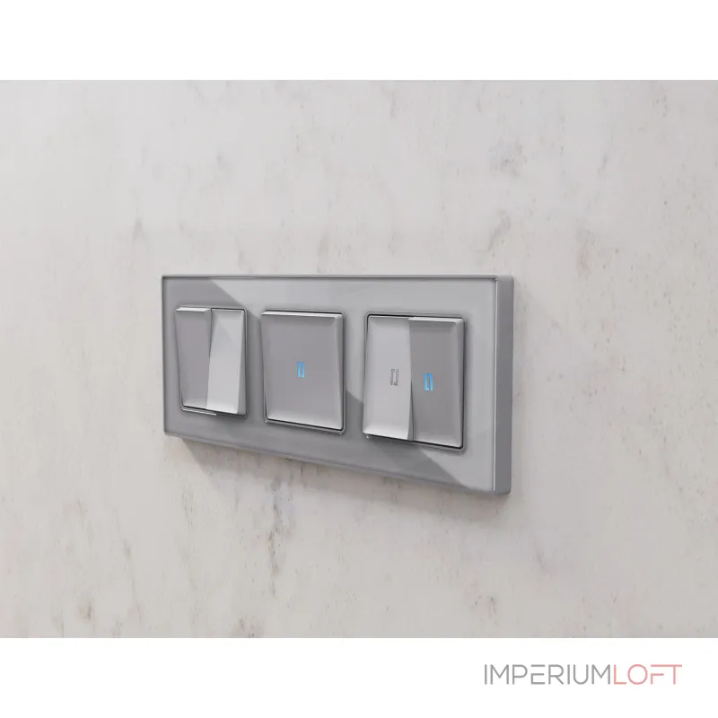 Лицевая панель ALFA (Сталь матовый) для 2-клавишных выключателей QUANT AP5030 от ImperiumLoft Лицевая панель ALFA (Сталь матовый) для 2-клавишных выключателей QUANT AP5030 от ImperiumLoft