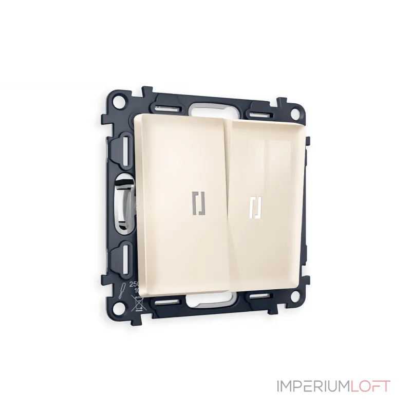 Комплект механизма 2-клавишного выключателя с подсветкой 5600K ALFA MA304015 Бежевый глянец QUANT от ImperiumLoft Комплект механизма 2-клавишного выключателя с подсветкой 5600K ALFA MA304015 Бежевый глянец QUANT от ImperiumLoft