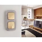 Рамка 2-ая Ambrella Volt OMEGA OF320502