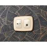Лицевая панель для компьютерной/телефонной розетки RJ-45/RJ-11 Ambrella Volt OMEGA OP3120