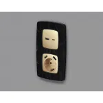 Лицевая панель для розетки 2USB тип A+C Ambrella Volt OMEGA OP6110