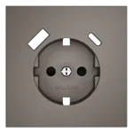 Накладка для розетки с заземлением и защитными шторками с USB A+C S70 (капучино) Voltum VLS001014 от ImperiumLoft