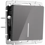 Выключатель одноклавишный с подсветкой Werkel a064077 от ImperiumLoft