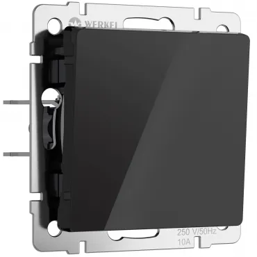 Выключатель одноклавишный Werkel a064024