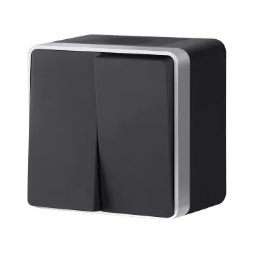 Выключатель двухклавишный влагозащищенный Gallant Werkel W5020234