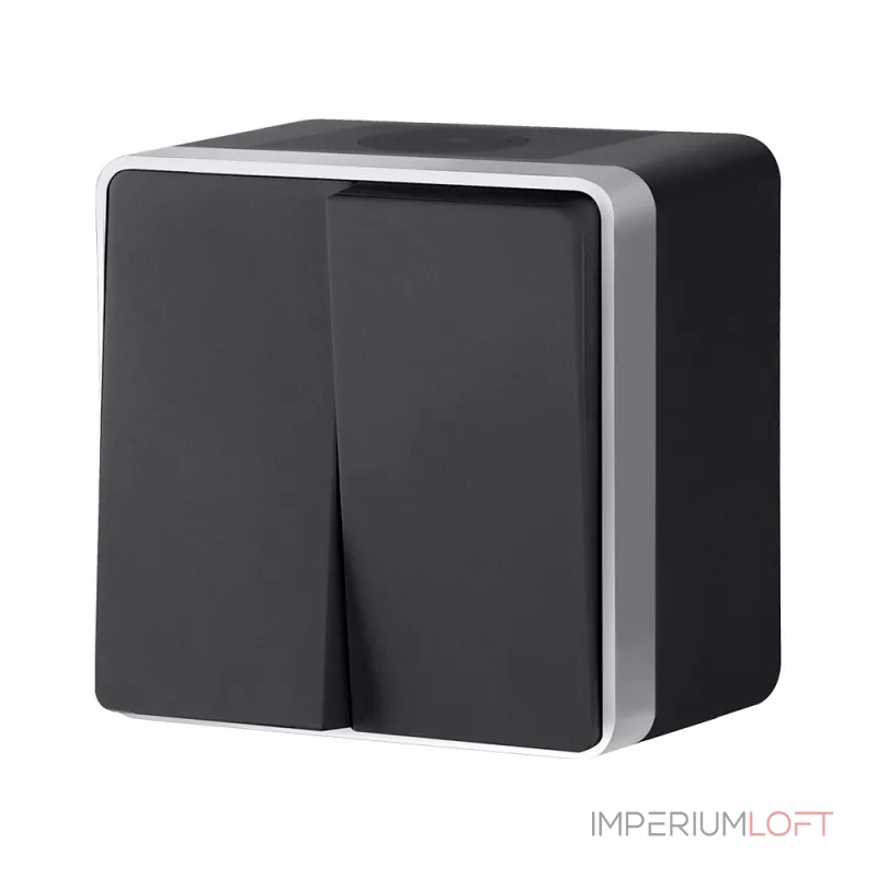 Выключатель двухклавишный влагозащищенный Gallant Werkel W5020234 от ImperiumLoft Выключатель двухклавишный влагозащищенный Gallant Werkel W5020234 от ImperiumLoft