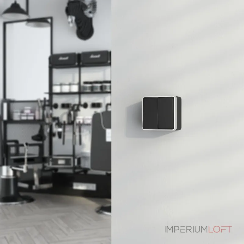 Выключатель двухклавишный влагозащищенный Gallant Werkel W5020234 от ImperiumLoft Выключатель двухклавишный влагозащищенный Gallant Werkel W5020234 от ImperiumLoft