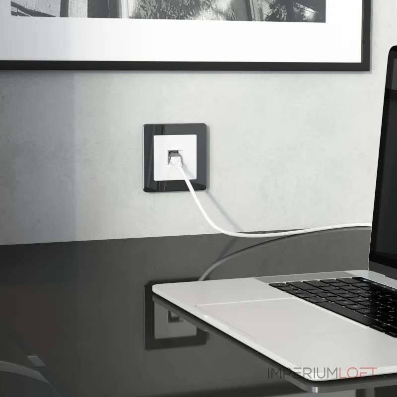 Розетка Etheret RJ-45 cat 6A экранированная Werkel a069683 от ImperiumLoft