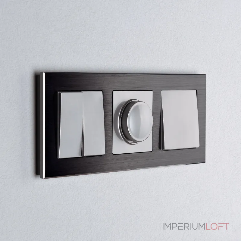 Выключатель двухклавишный Werkel W1120006 от ImperiumLoft