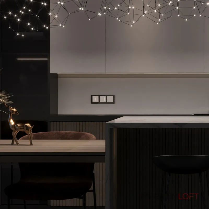 Сенсорный выключатель двухклавишный с подсветкой Werkel a063598 от ImperiumLoft