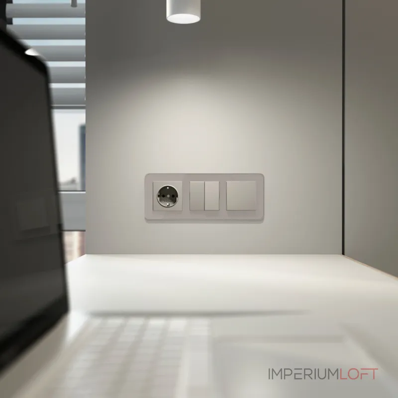 Перекрестный выключатель двухклавишный Werkel a069460 от ImperiumLoft