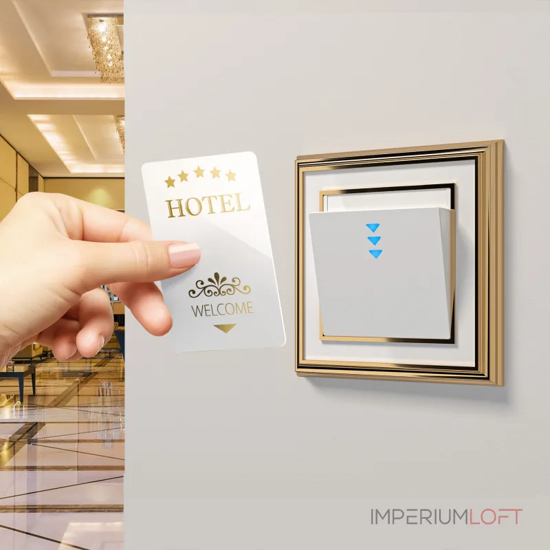Электронный карточный выключатель Werkel a051130 от ImperiumLoft