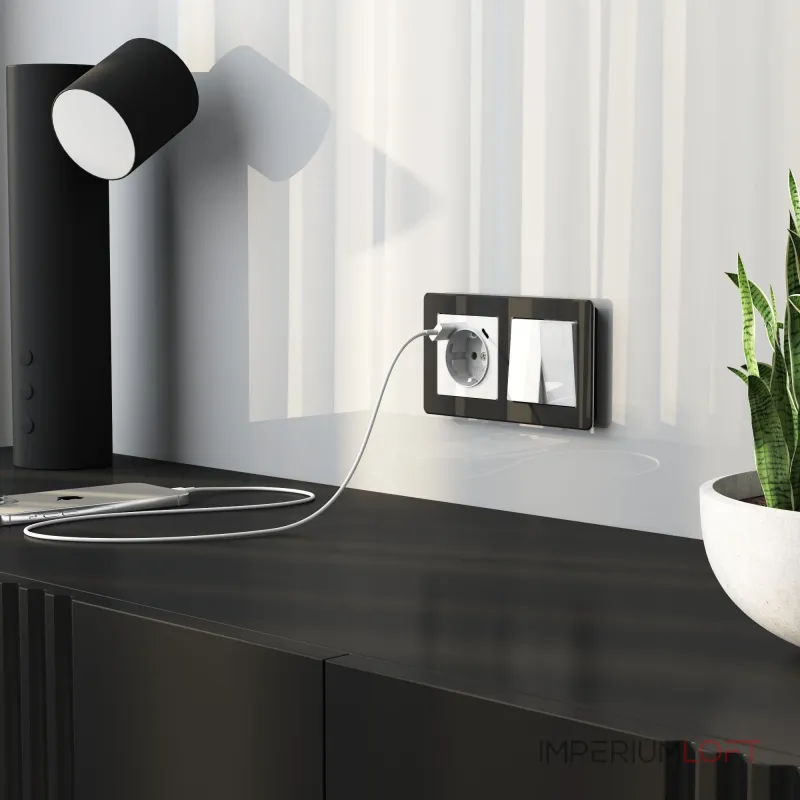 Выключатель двухклавишный Werkel a064002 от ImperiumLoft