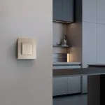 Сенсорный выключатель двухклавишный с подсветкой Werkel a063604 от ImperiumLoft