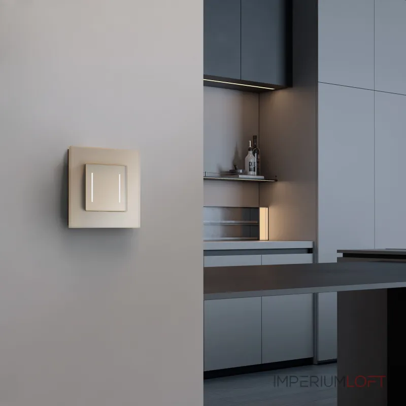 Сенсорный выключатель двухклавишный с подсветкой Werkel a063604 от ImperiumLoft