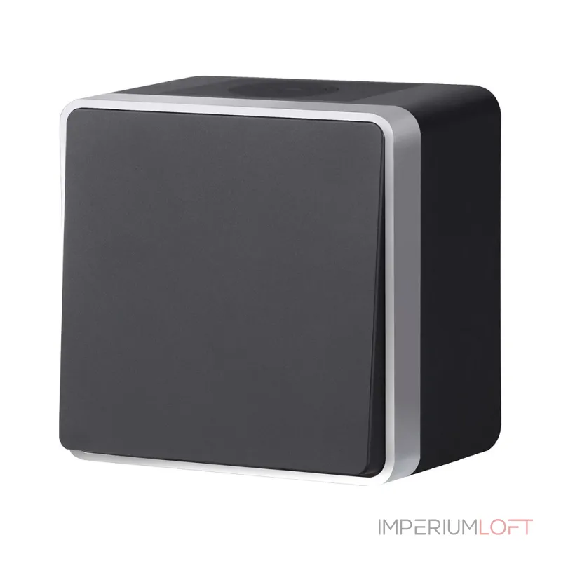 Выключатель одноклавишный влагозащищенный Gallant Werkel W5010234 от ImperiumLoft Выключатель одноклавишный влагозащищенный Gallant Werkel W5010234 от ImperiumLoft