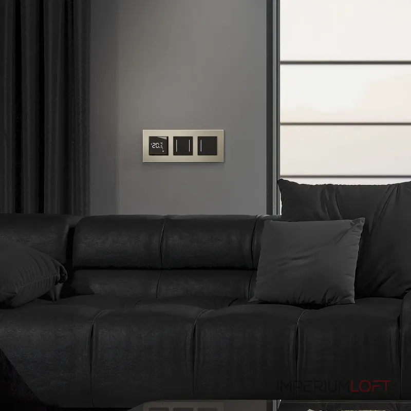 Сенсорный выключатель двухклавишный с подсветкой Werkel a063602 от ImperiumLoft