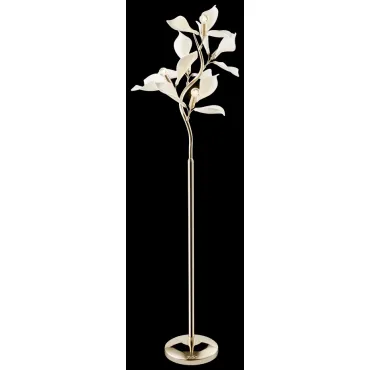 Светильник напольный Wertmark Miranda WE123.05.305