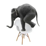 Пластиковый стул Woodville 11627 от ImperiumLoft