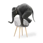 Пластиковый стул Woodville 15557 от ImperiumLoft