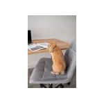 Деревянный стол Woodville 615155 от ImperiumLoft