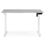 Компьютерный стол Woodville 614606 от ImperiumLoft