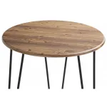 Журнальный стол Woodville 453133 от ImperiumLoft