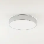 Потолочный светильник Zortes TORTTY ZRS.02565.36, Мощность - 36Вт, Тип лампы: LED SMD2835，Оптолинза RIO от ImperiumLoft