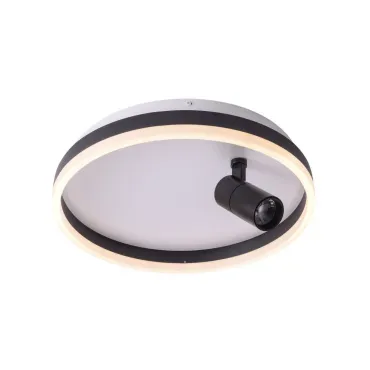 Светильник ZORTES RAIZY ZRS.1888.03 LED 29Вт